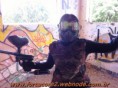/album/galeria-de-fotos/jogo-05fev2011-manha-17-jpg/